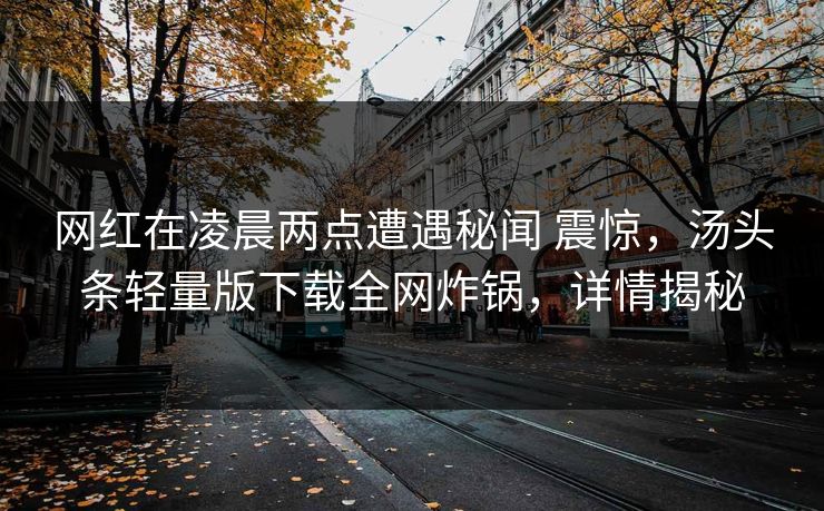 网红在凌晨两点遭遇秘闻 震惊，汤头条轻量版下载全网炸锅，详情揭秘