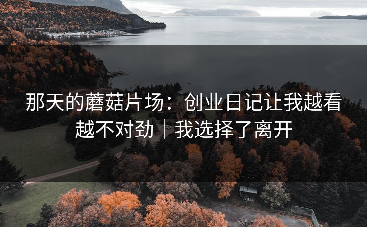 那天的蘑菇片场：创业日记让我越看越不对劲｜我选择了离开